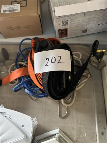 Lot 202 - ratchet straps and tir straps