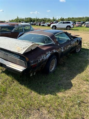 Lot 1057 - 1981 Pontiac Turbo Trans AM