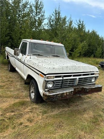 Lot 1019 - Ford F100 4X4