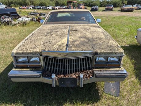 Lot 1082 - 1982 Cadillac Seville