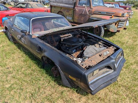 Lot 1073 - 1977 Pontiac Trans AM