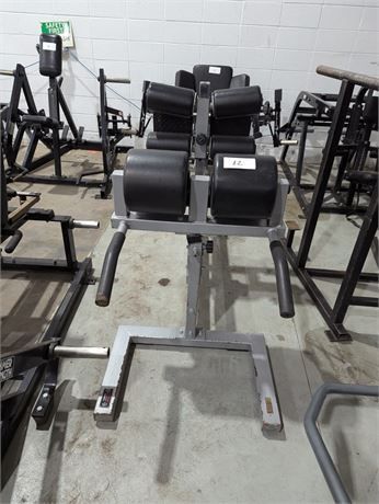 Lot 12 - York Barbell glute ham bench