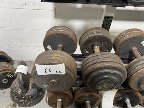 Lot 66 - Dumbbells 95 lbs