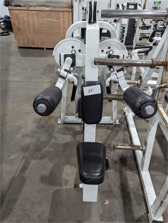 Lot 25 - Icarian Lateral Raise Cable Machine