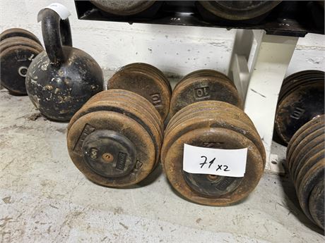 Lot 71 - Dumbbells 100 lbs