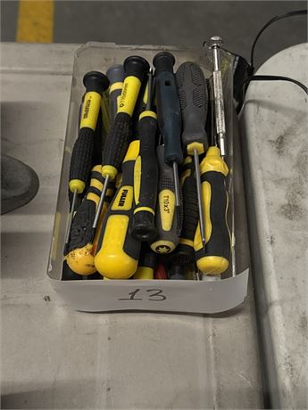 Lot 13 - Small Screw Drivers