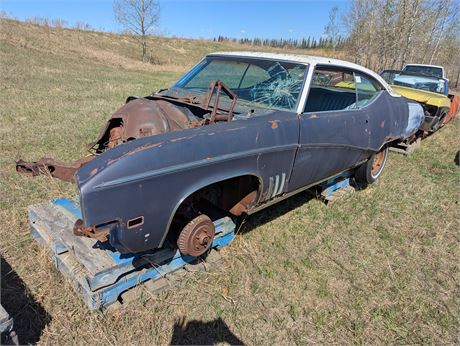 Lot 93 - 1969  Buick Skylark