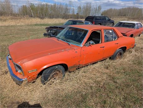Lot 141 - 1976  Chevrolet Nova