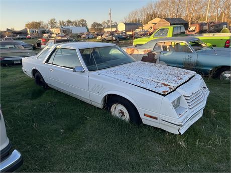 Lot 301 - 1981 Dodge Mirada