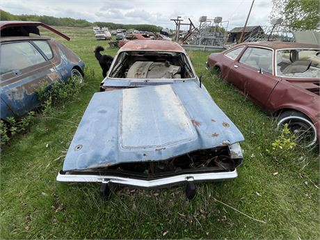 Lot 398  - 1974 Duster 360