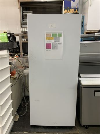 Lot 1-5 - 2022 Hisense Stand Up Freezer