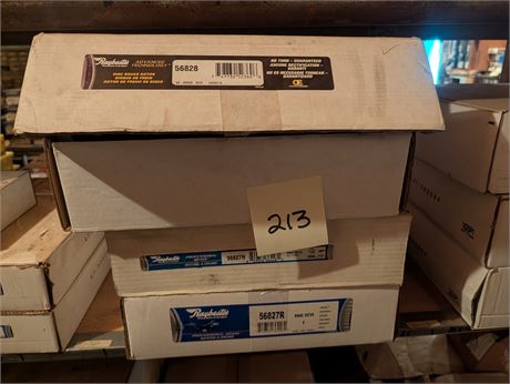 Lot 213 - Raybestos Disc Brake Rotors