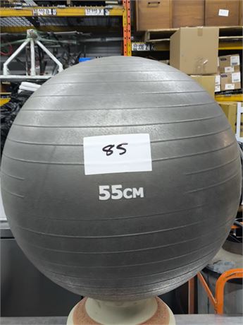 Lot 85 - 55cm Work Out Ball