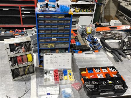 Lot 221 - Storage Organizers filled with small parts.