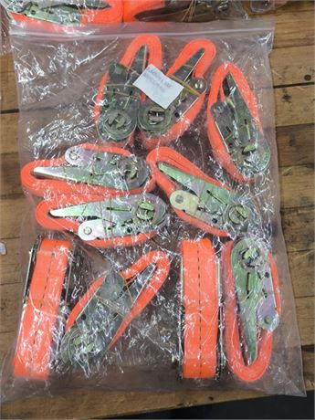 Lot 237 - Ratchet Straps