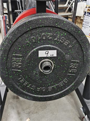 Lot 9 - Bumper Plate