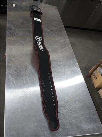 Lot 49 - Lifting Belt